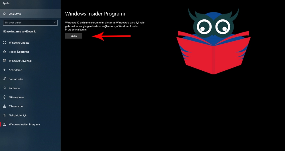 Windows 11 nasıl indirebilirim