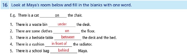 9. Sınıf İngilizce Temelli Etkinlik Kitabı Cevapları Sayfa 23 Cevabı