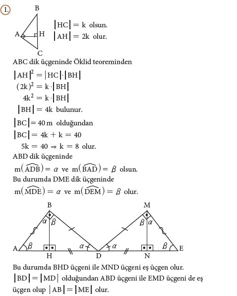 9. Sınıf Matematik Beceri Temelli Etkinlik Kitabı Cevapları Sayfa 217 Cevabı