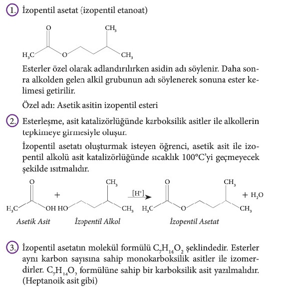 12. Sınıf Kimya Beceri Temelli Etkinlik Kitabı Sayfa 117 Cevabı